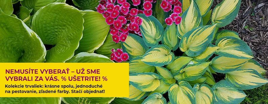 Kolekcie Kolekcie