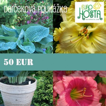 Darčeková poukážka 50 eur