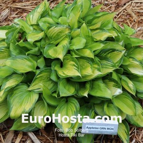 hosta Tiki Bar