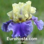 Iris Edith Wolford