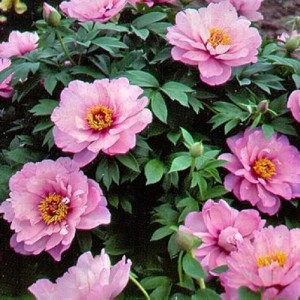 First. Arrrival -  Eurohosta